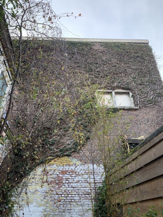 Oude muur in een tuin